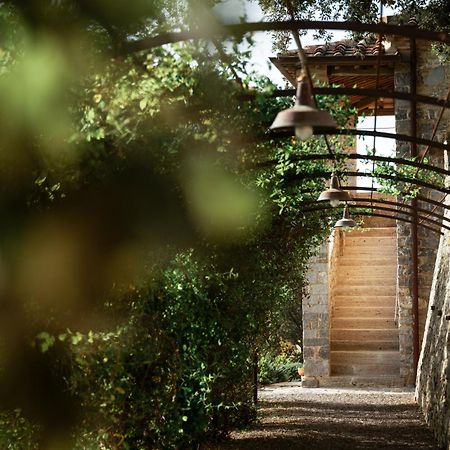Tenuta Castelgiocondo Montalcino Exteriér fotografie